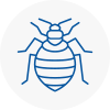Bed Bug Extermination In Appley Bridge